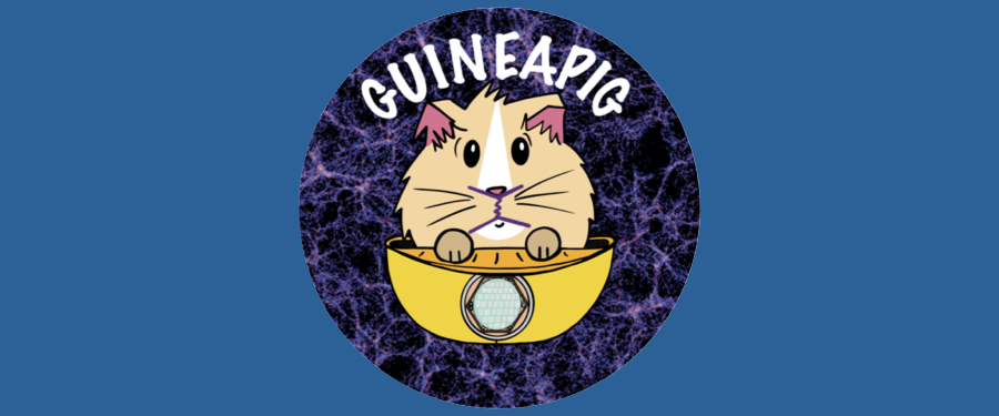 GUINEAPIG 2024 Workshop on Light Dark Matter